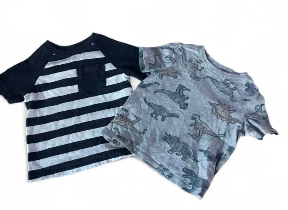 Old Navy / Garanimal Boys Set of 2 Dinosaur & Stripe Short Sleeve Shirts Size 2T